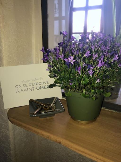 L'Omerade: Appartement De Charme Dans Une Maison Audomaroise Saint-Omer  Exteriör bild